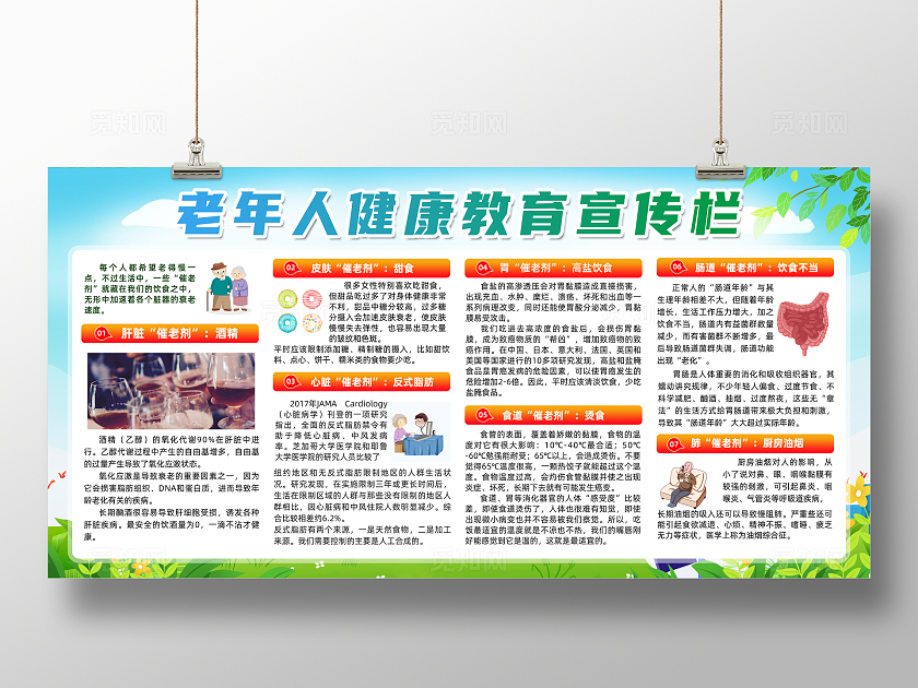 蓝色简约老年人健康教育宣传栏全国老年健康宣传周展板