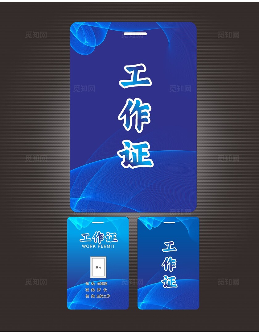 2024蓝色工作证