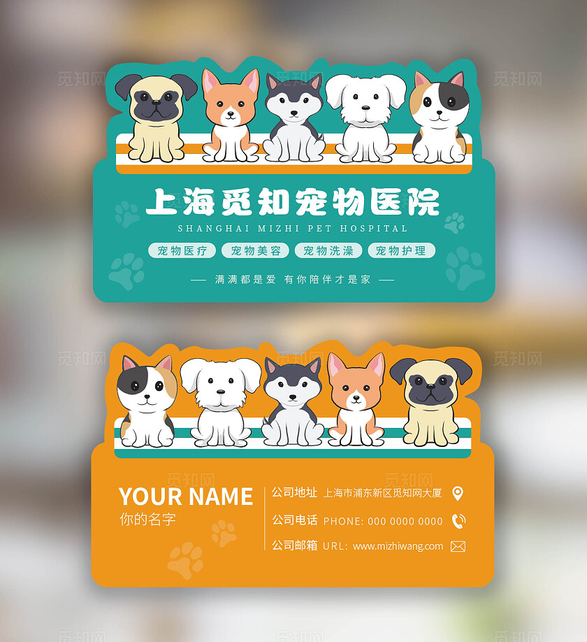 绿色黄色彩色卡通创意宠物店宠物医院海报美容医疗洗澡名片