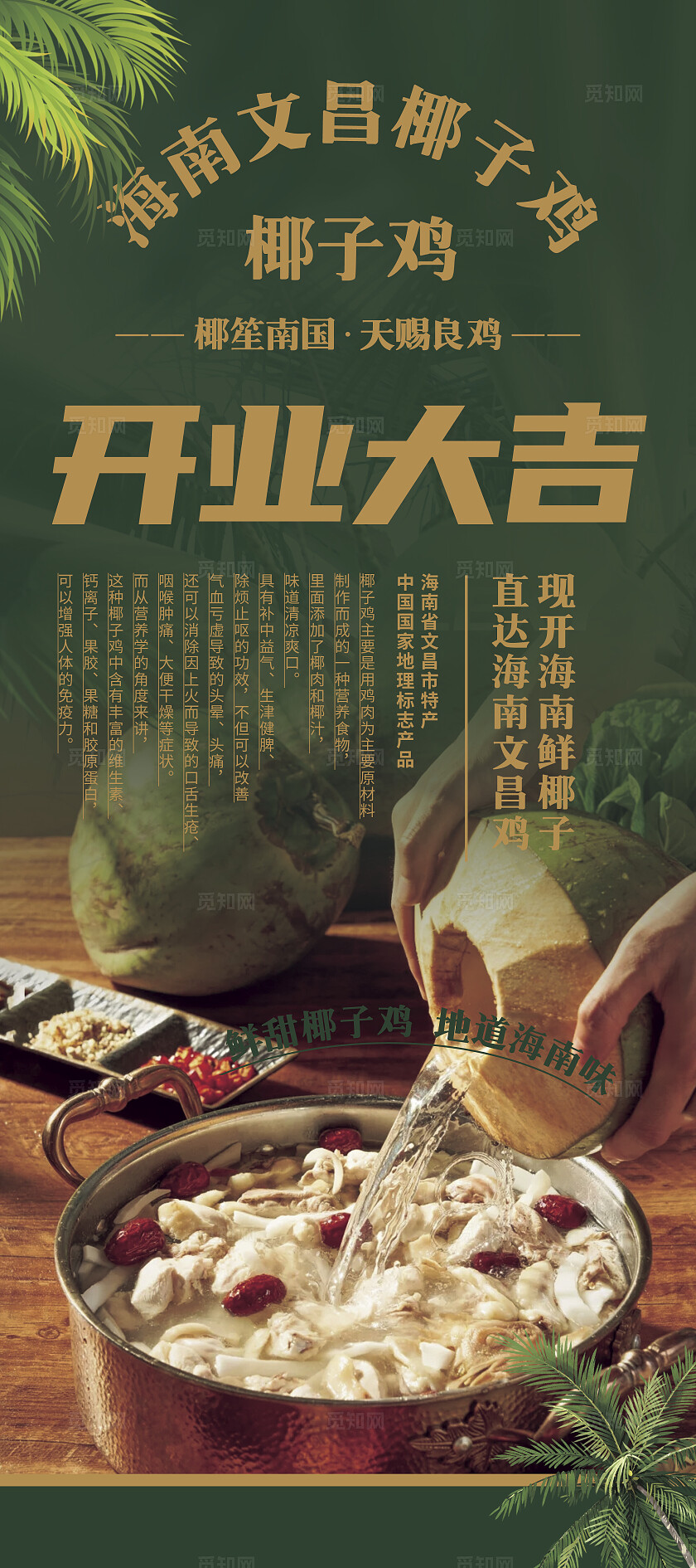 大气海南椰子鸡海报展架易拉宝椰子鸡海南