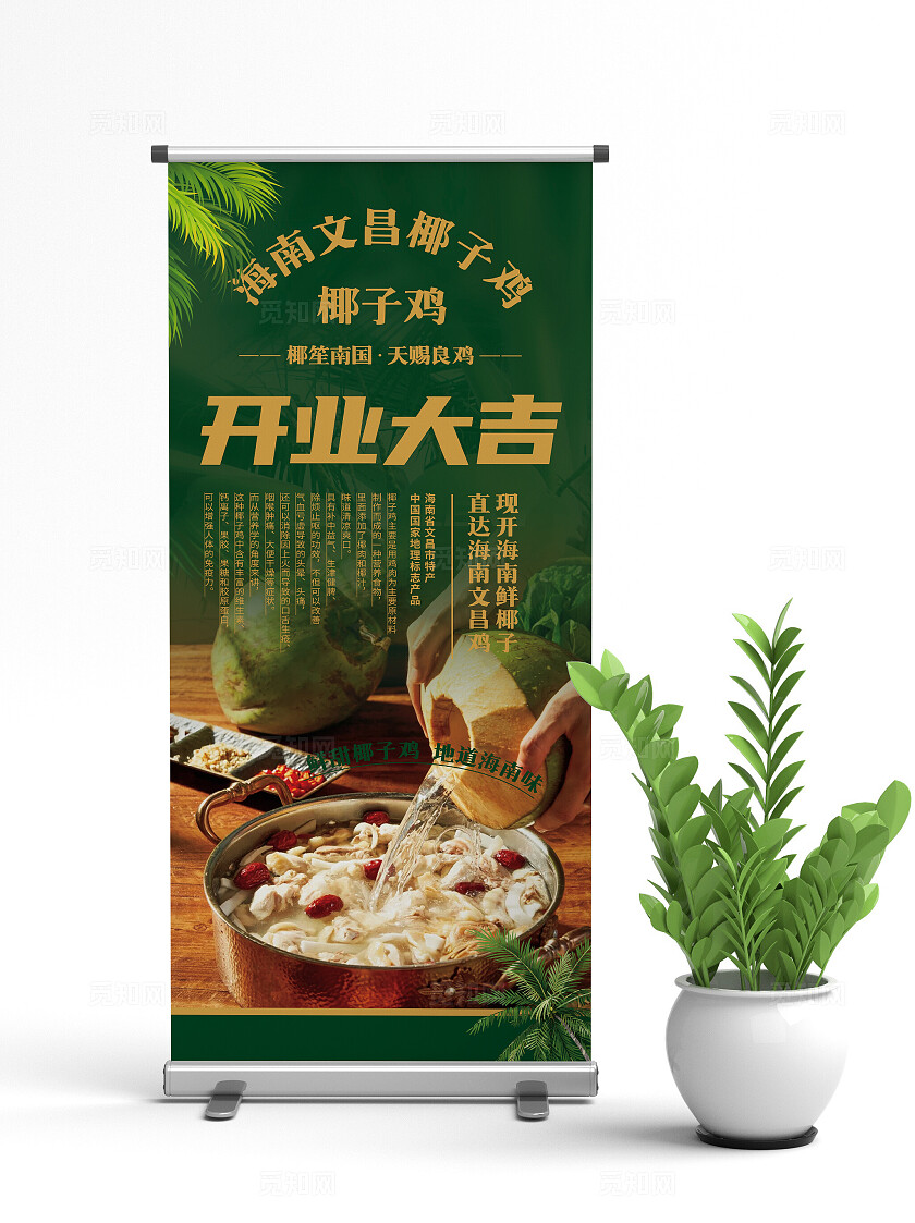 大气海南椰子鸡海报展架易拉宝椰子鸡海南