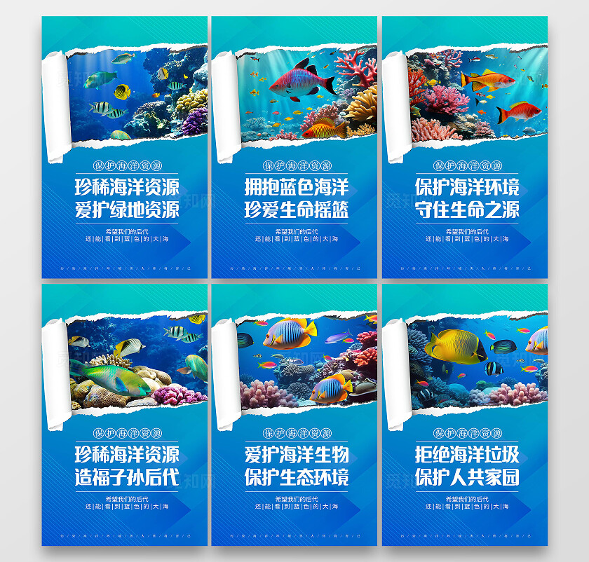 蓝色时尚保护海洋宣传展板设计