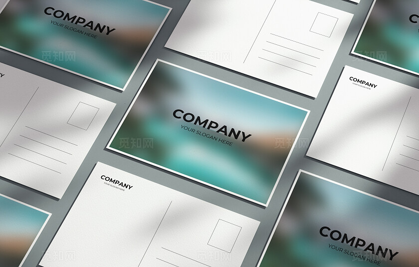 白色简约明信片样机