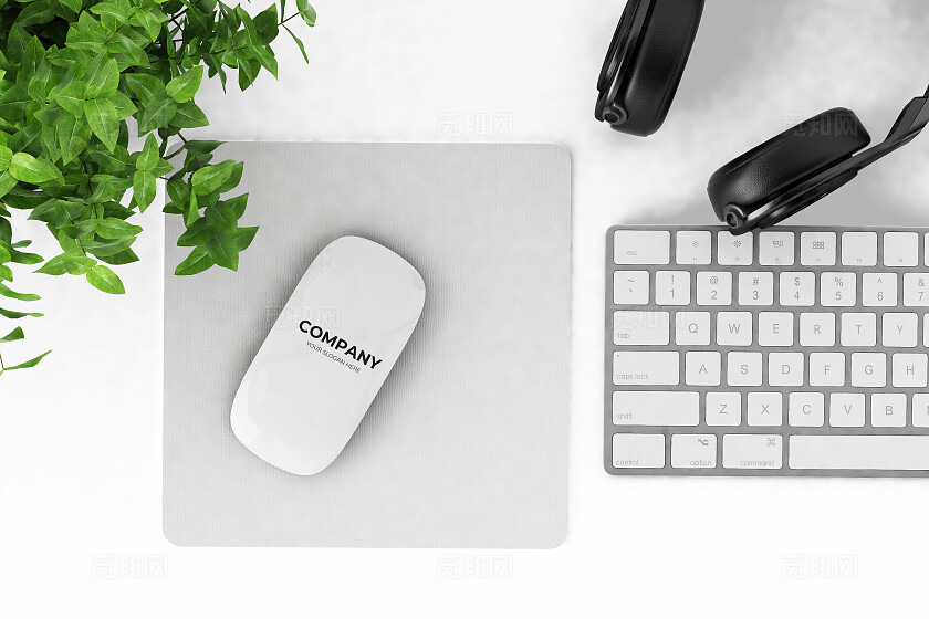 白色简约鼠标logo模型样机