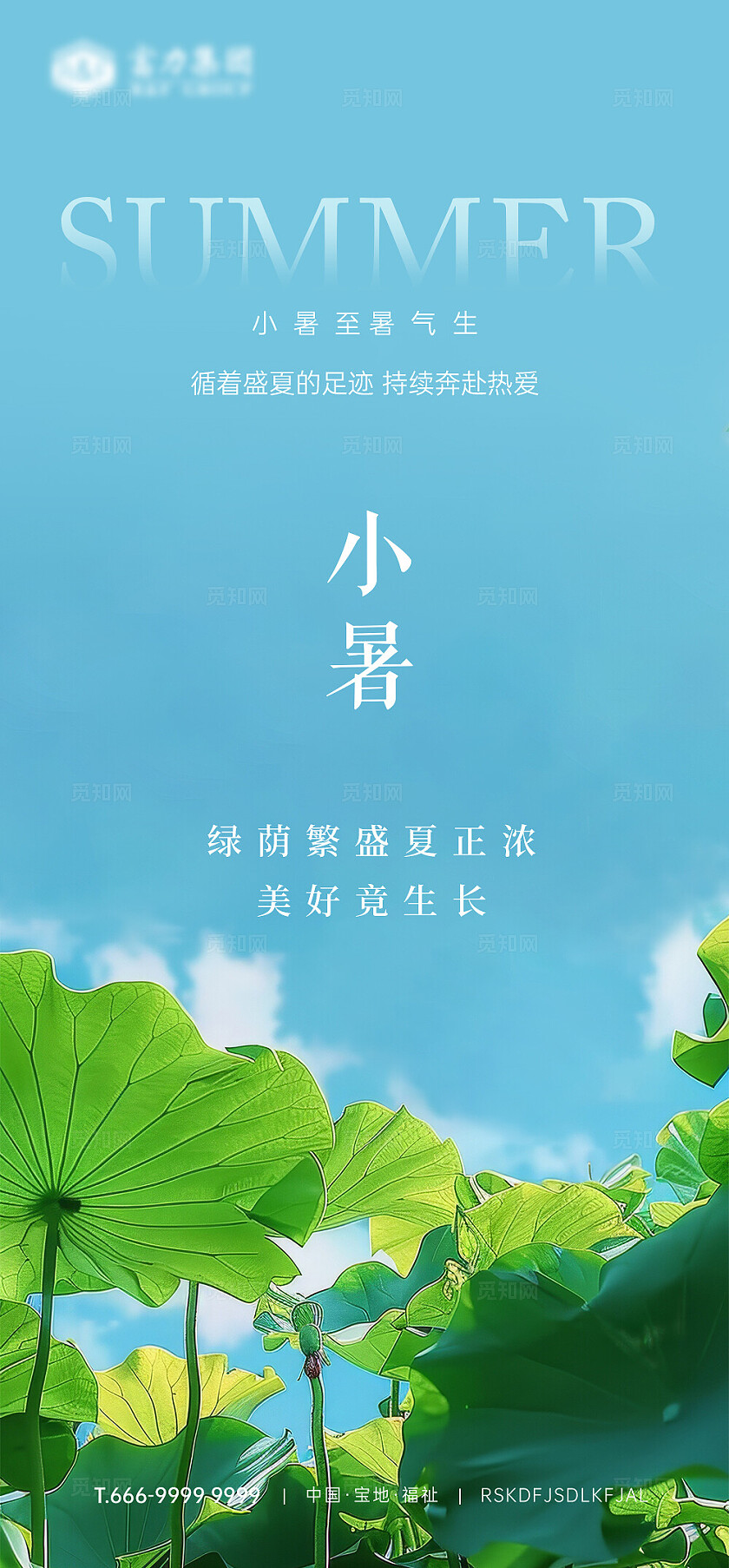 小暑节气荷花蓝天海报
