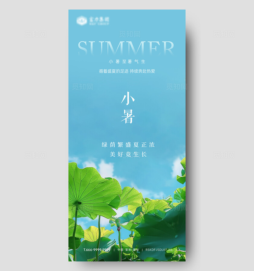 小暑节气荷花蓝天海报