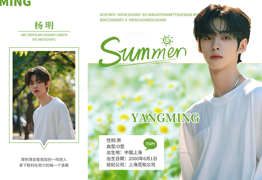 绿色小清新风summer应援三折页粉丝应援