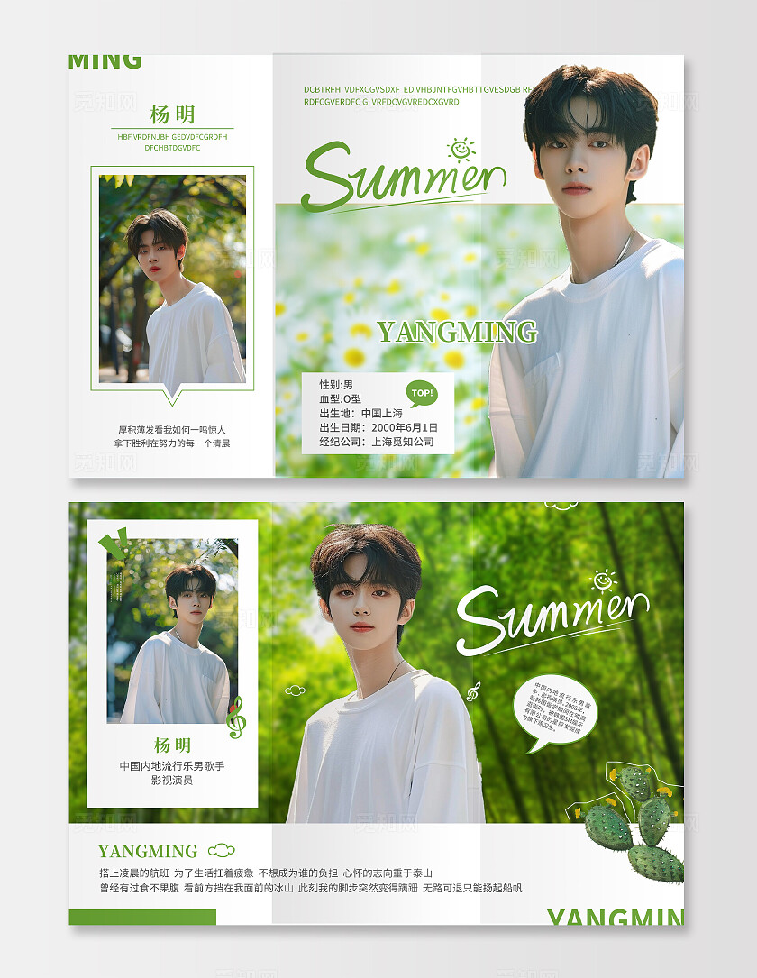 绿色小清新风summer应援三折页粉丝应援