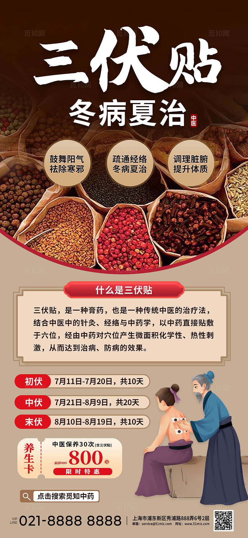 冬病夏治三伏贴中医中药养生保养治病健康医疗优惠促销活动海报