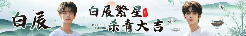 绿色简约大气风中国风白辰应援条幅 粉丝应援