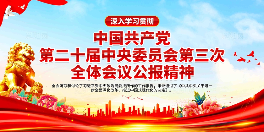 学习贯彻党的二十届三中全会公报精神党建宣传栏展板