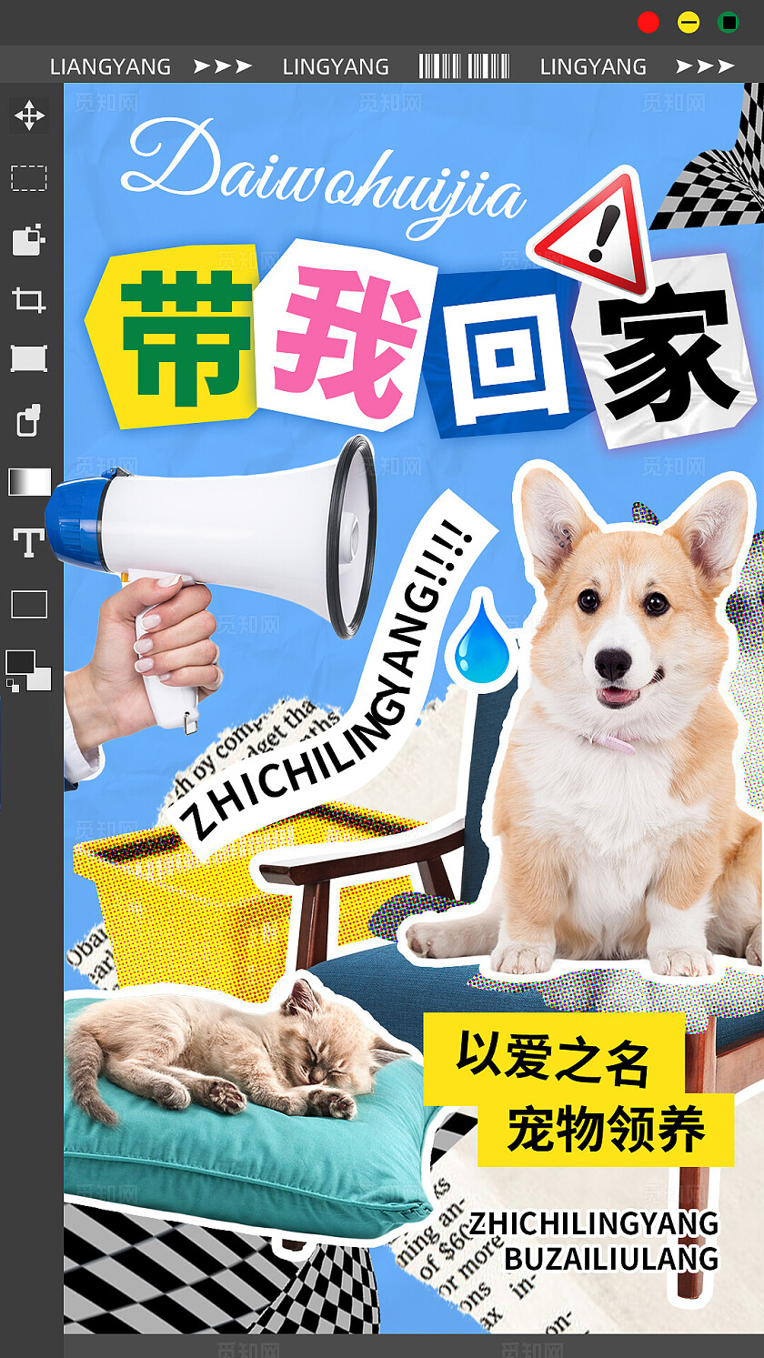 蓝色清新风宠物救助领养宣传竖版视频抖音封面