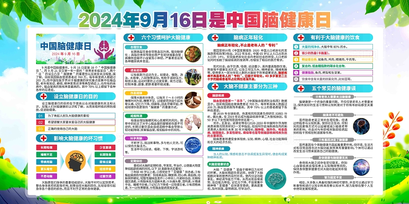 2024年中国脑健康日展板