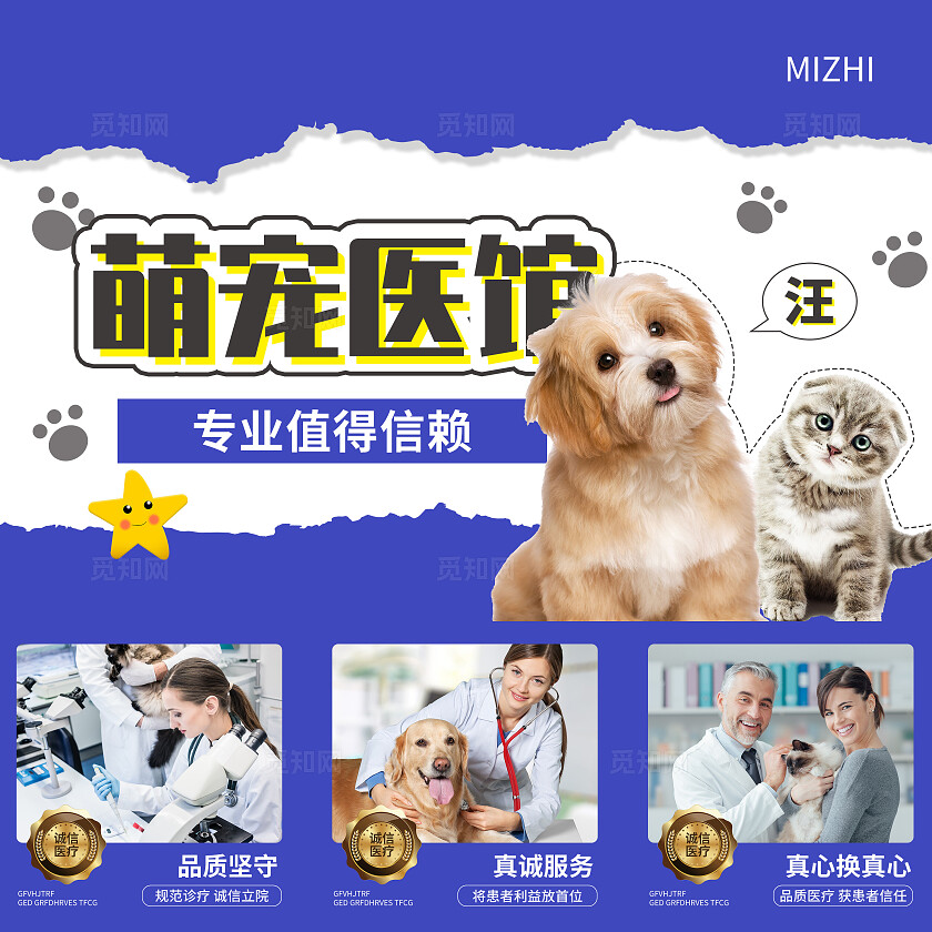 蓝色简约大气撕纸风萌宠医馆撕纸风九宫格