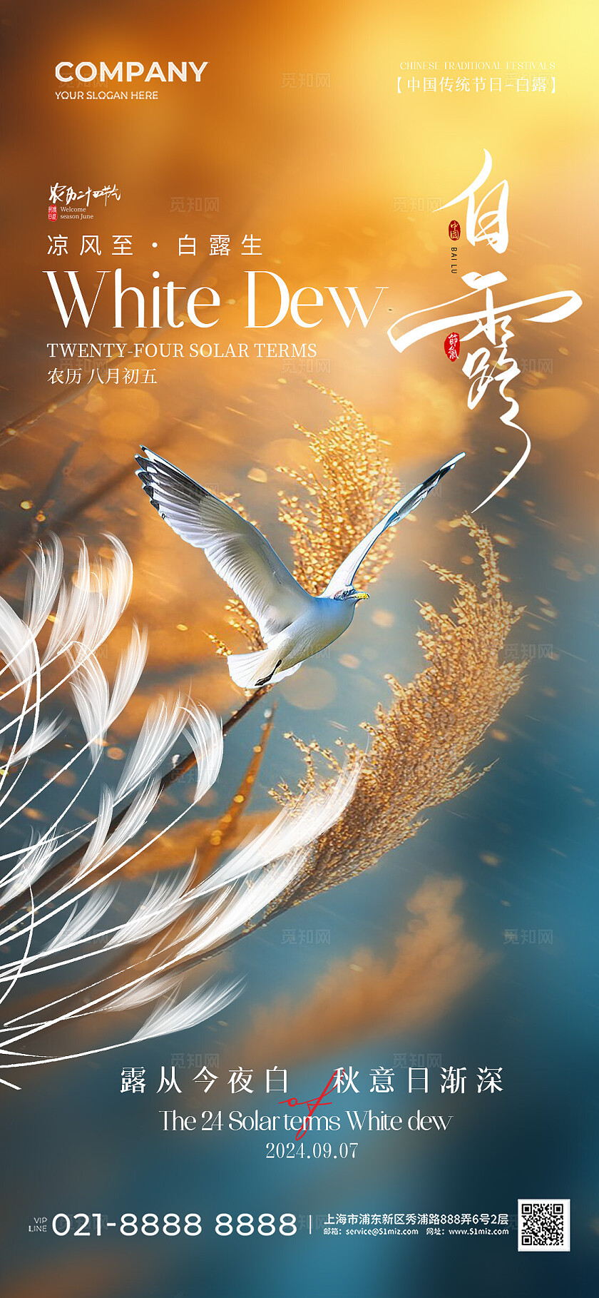 简约实拍风二十四节气白露节气手机宣传海报