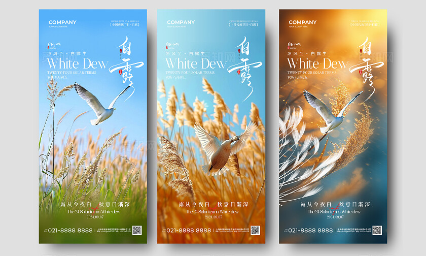 简约实拍风二十四节气白露节气手机宣传海报