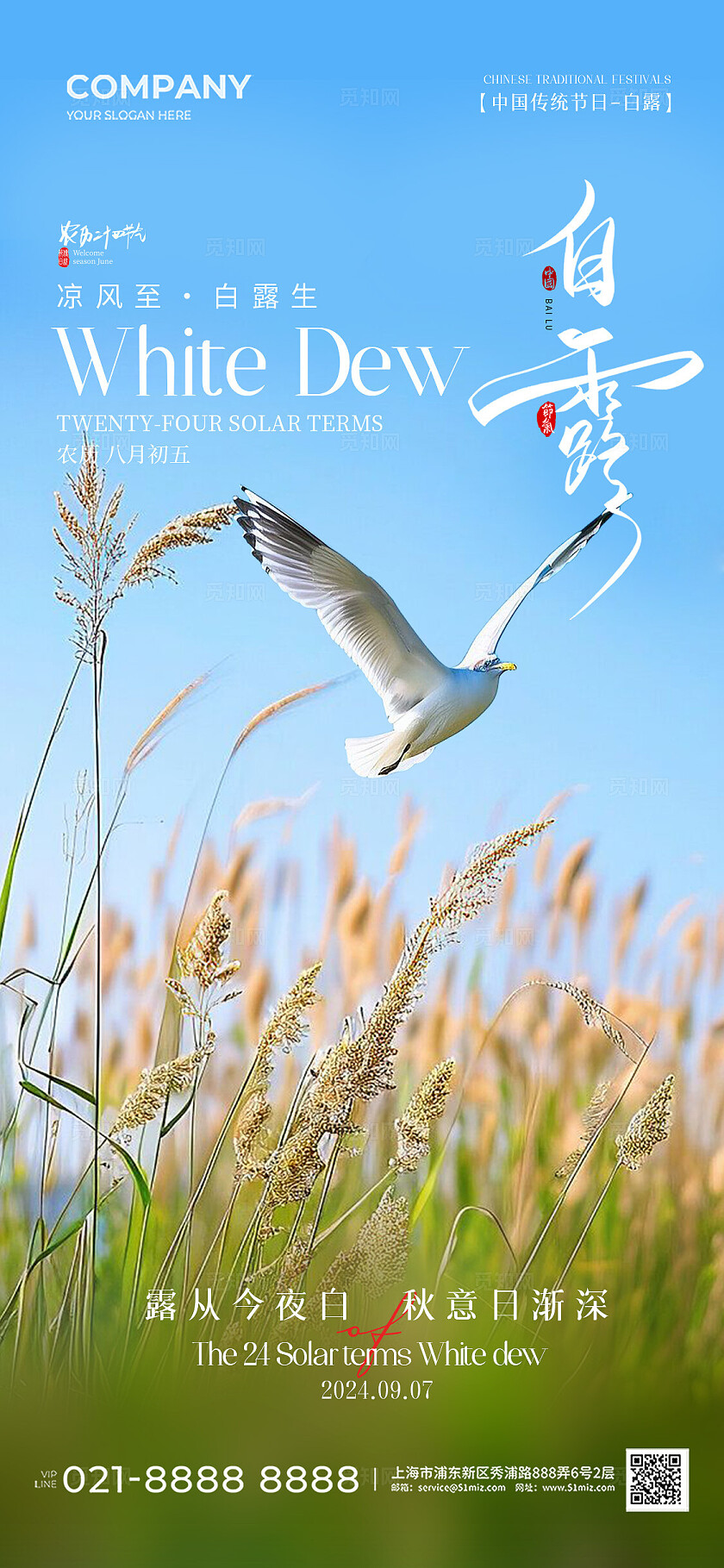 简约实拍风二十四节气白露节气手机宣传海报