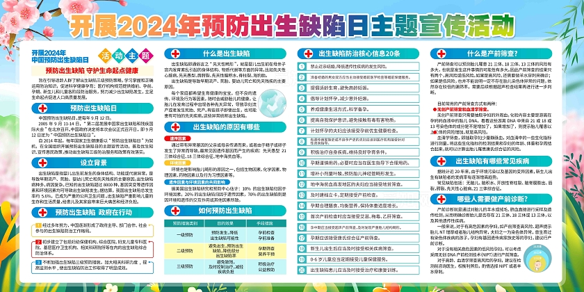 2024年中国预防出生缺陷日知识预防出生缺陷日展板