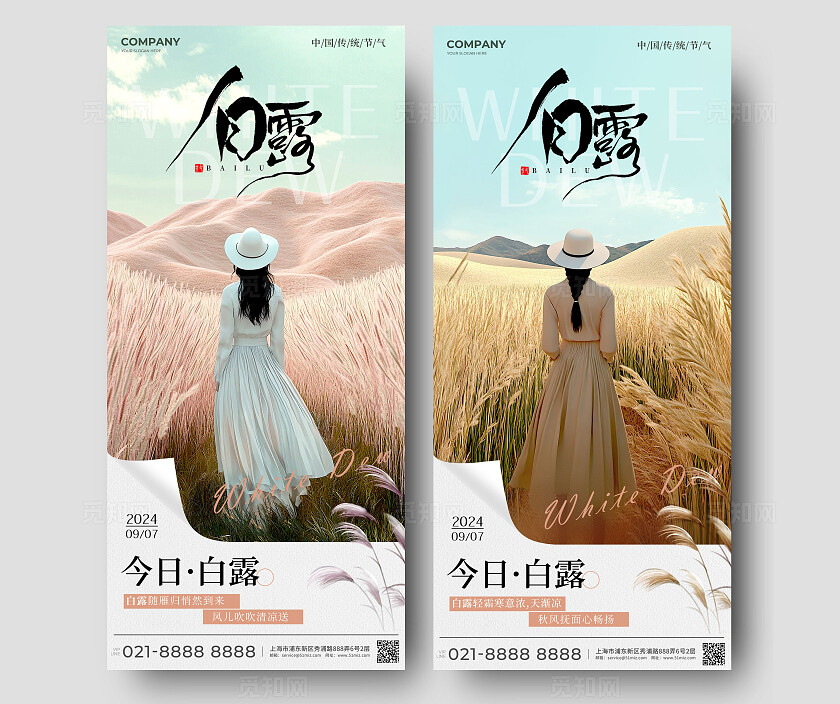 渐变色实拍风格白露白露手机宣传海报白露宣传海报白露海报