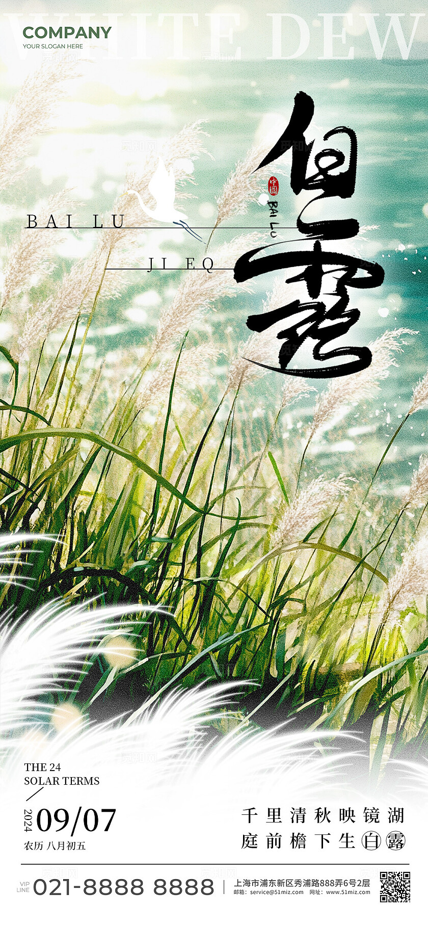 渐变色实拍风格白露白露手机宣传海报白露宣传海报白露海报