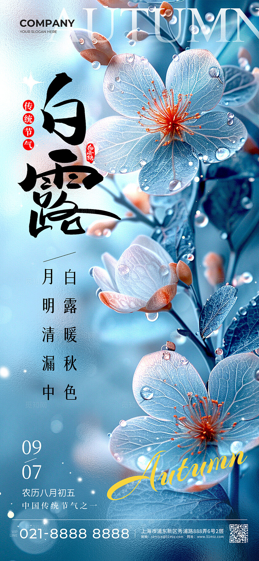 蓝色渐变实拍风格白露白露手机宣传海报白露宣传海报白露海报