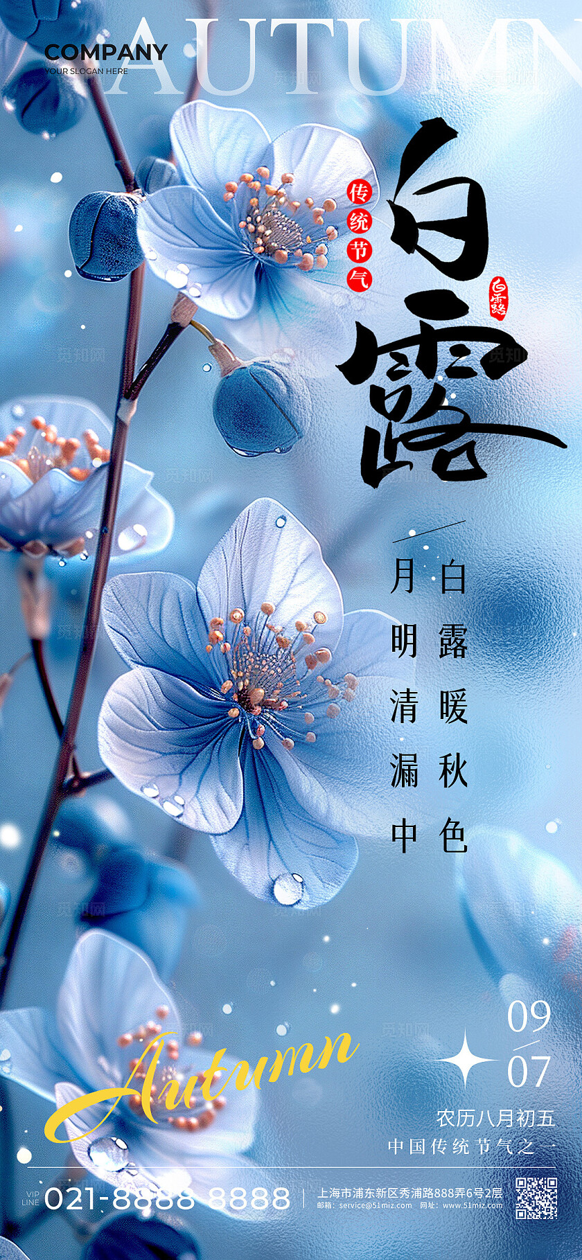 蓝色渐变实拍风格白露白露手机宣传海报白露宣传海报白露海报