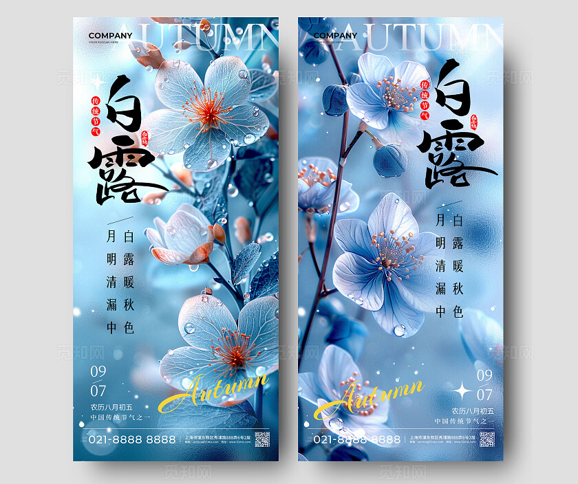 蓝色渐变实拍风格白露白露手机宣传海报白露宣传海报白露海报
