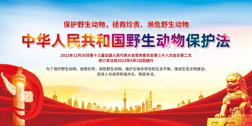 党建风野生动物保护法世界动物日宣传栏