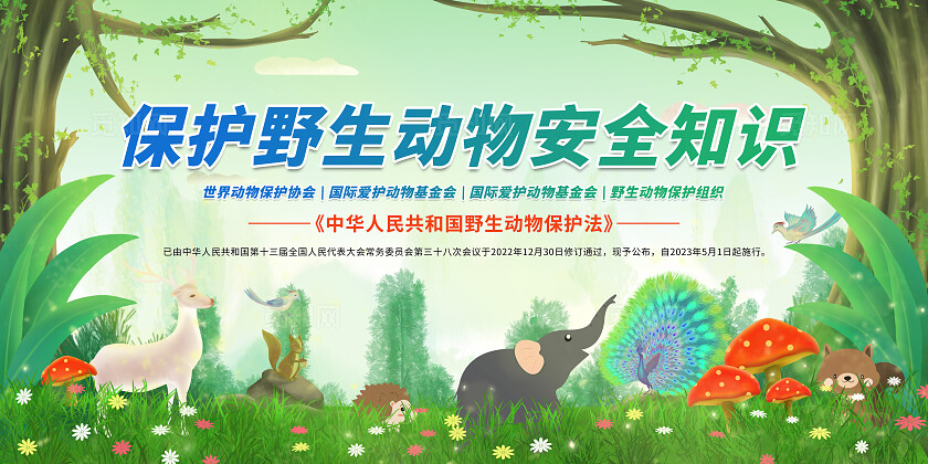 绿色保护野生动物安全知识世界动物日保护野生动物宣传栏