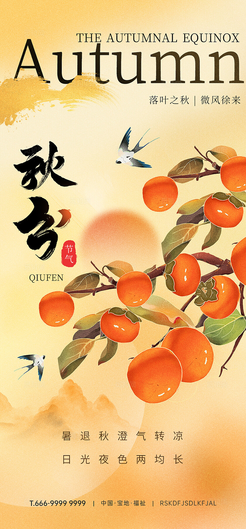 插画柿子秋分节气手机宣传海报