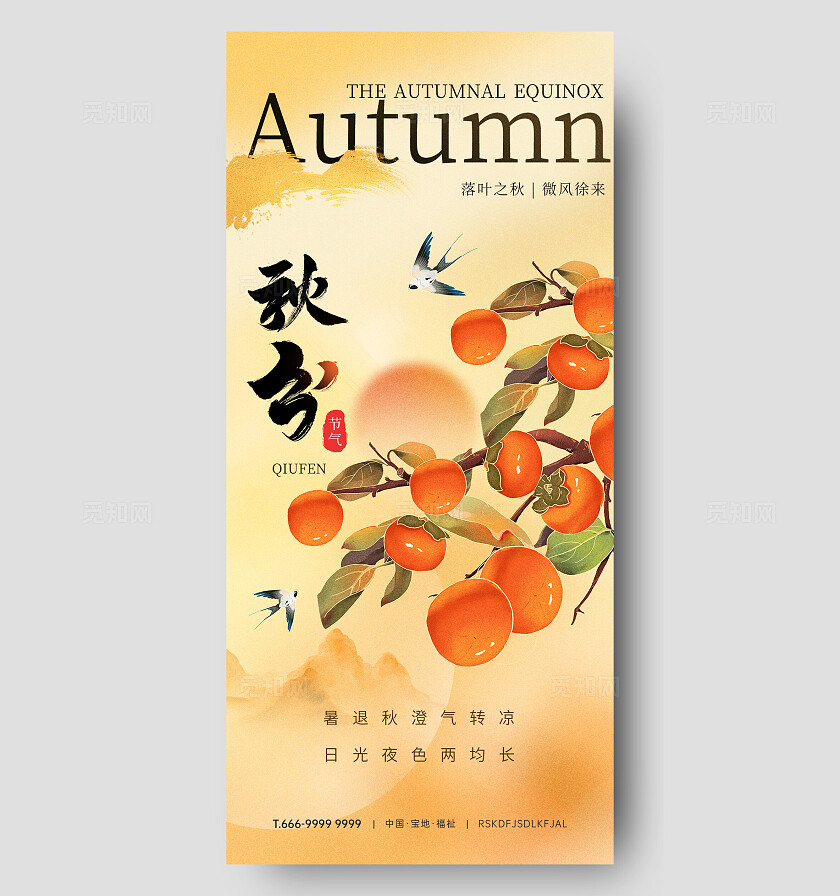 插画柿子秋分节气手机宣传海报