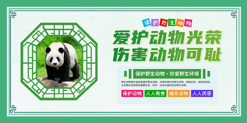 时尚大气保护野生动物宣传展板套图世界动物日