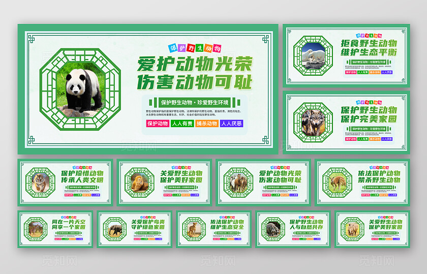 时尚大气保护野生动物宣传展板套图世界动物日