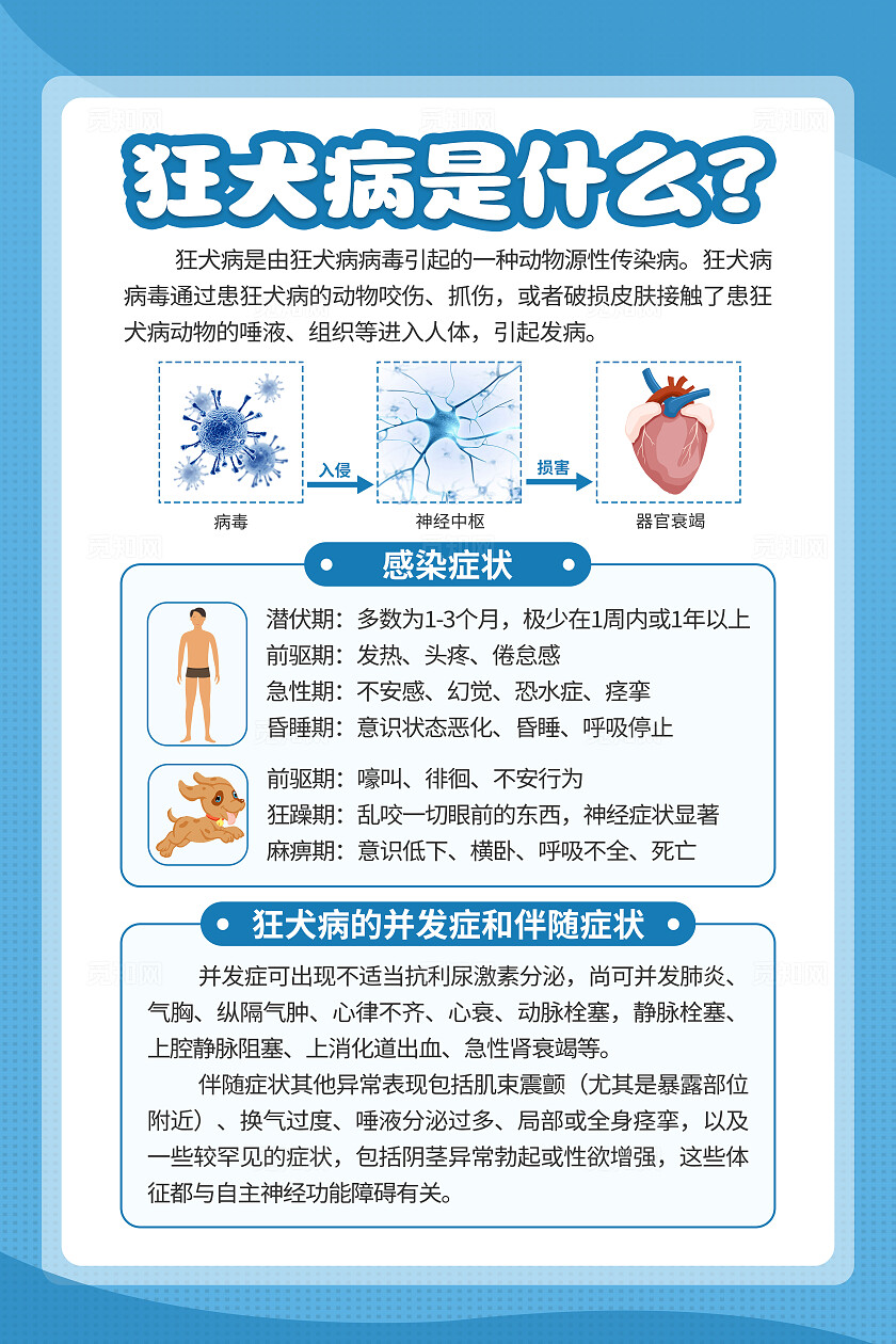 蓝色简约世界狂犬病日预防狂犬病知识海报套图背景
