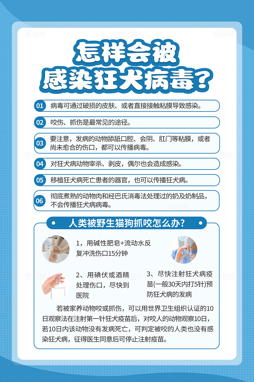 蓝色简约世界狂犬病日预防狂犬病知识海报套图背景