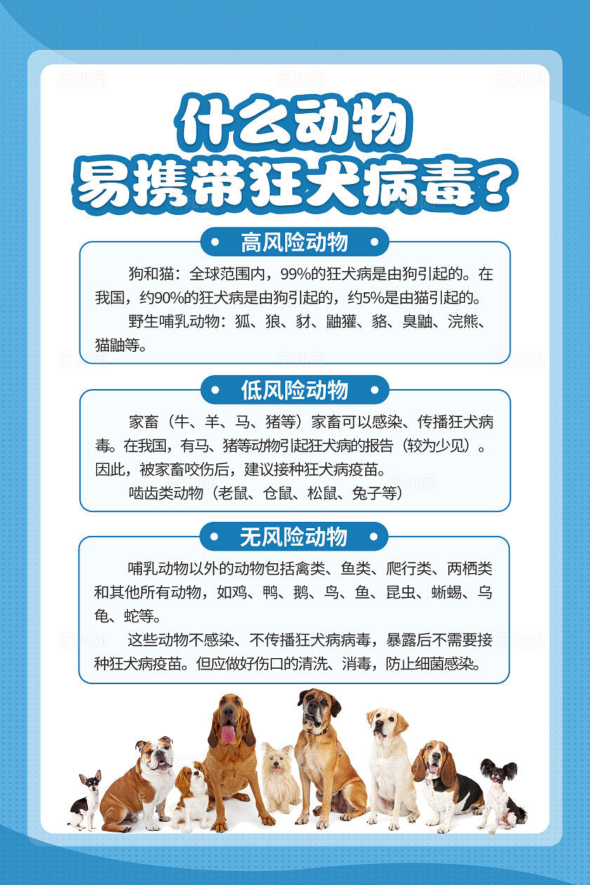 蓝色简约世界狂犬病日预防狂犬病知识海报套图背景