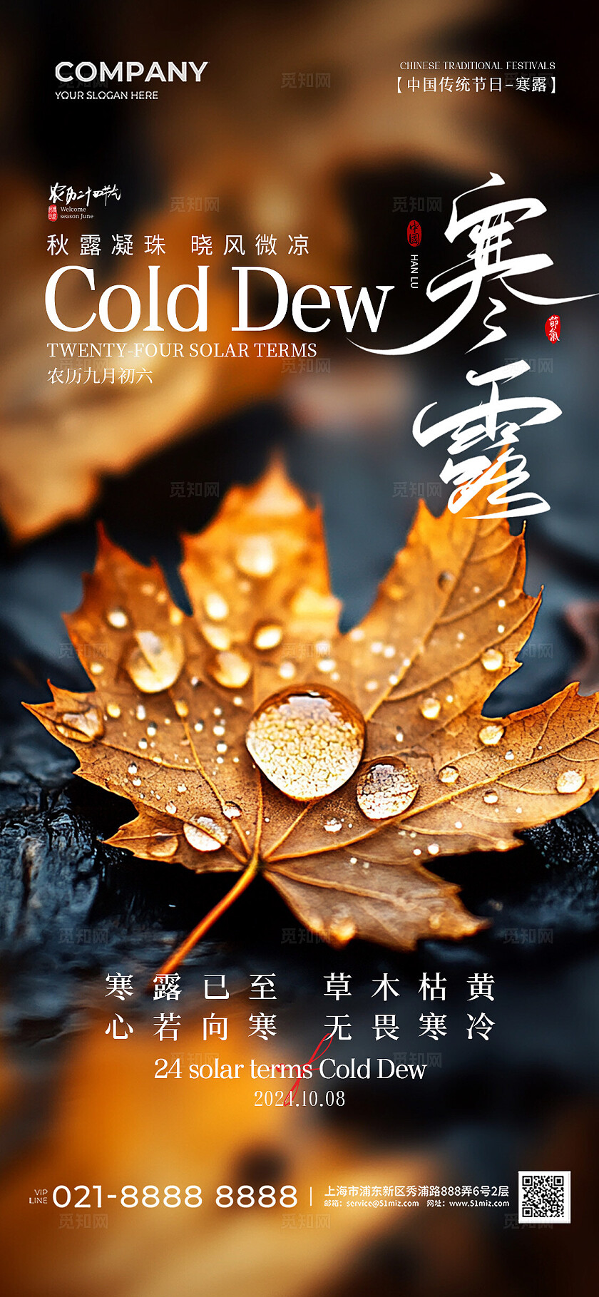 实拍风二十四节气寒露节气手机宣传海报