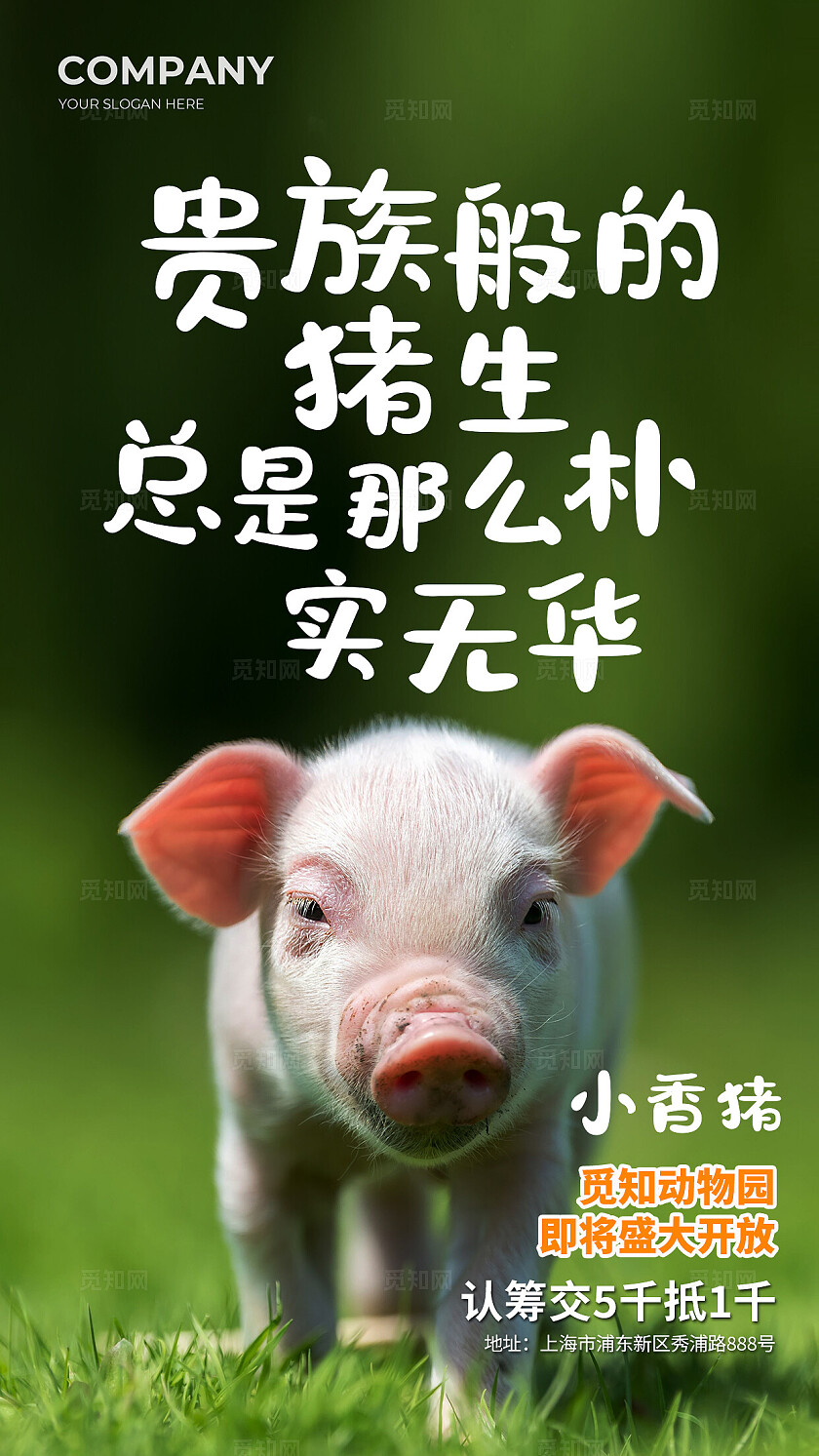 简约实拍风动物园动物开放创意海报套图背景世界动物日