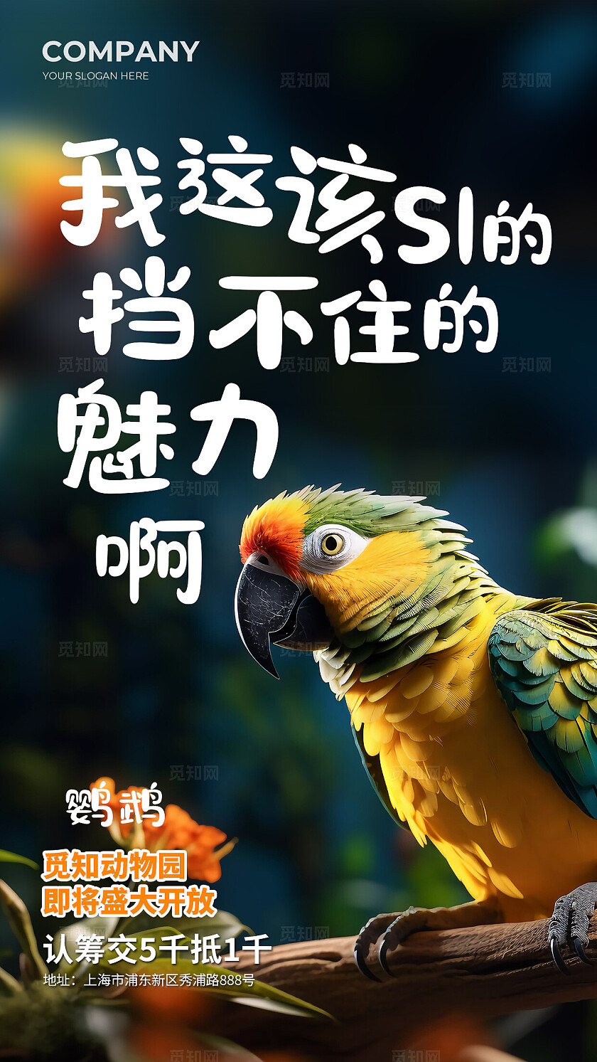 简约实拍风动物园动物开放创意海报套图背景世界动物日