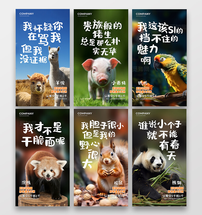 简约实拍风动物园动物开放创意海报套图背景世界动物日
