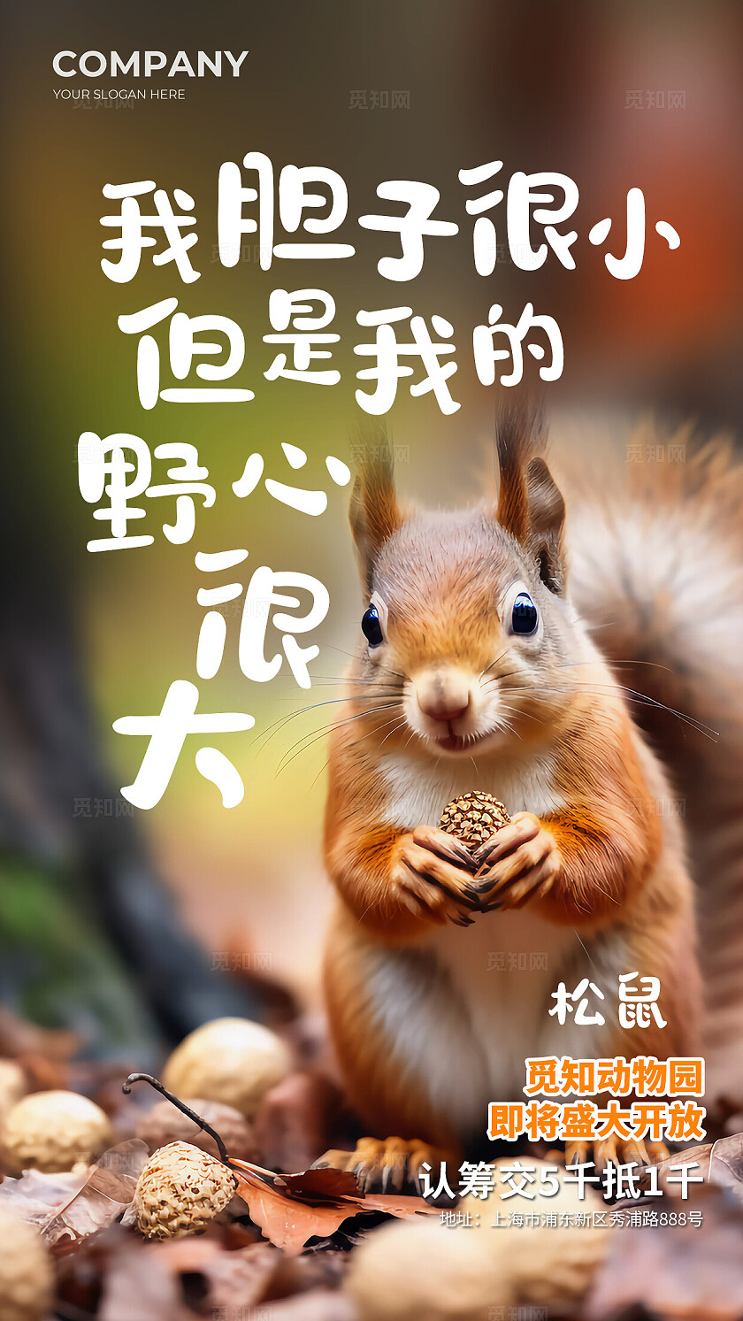 简约实拍风动物园动物开放创意海报套图背景世界动物日