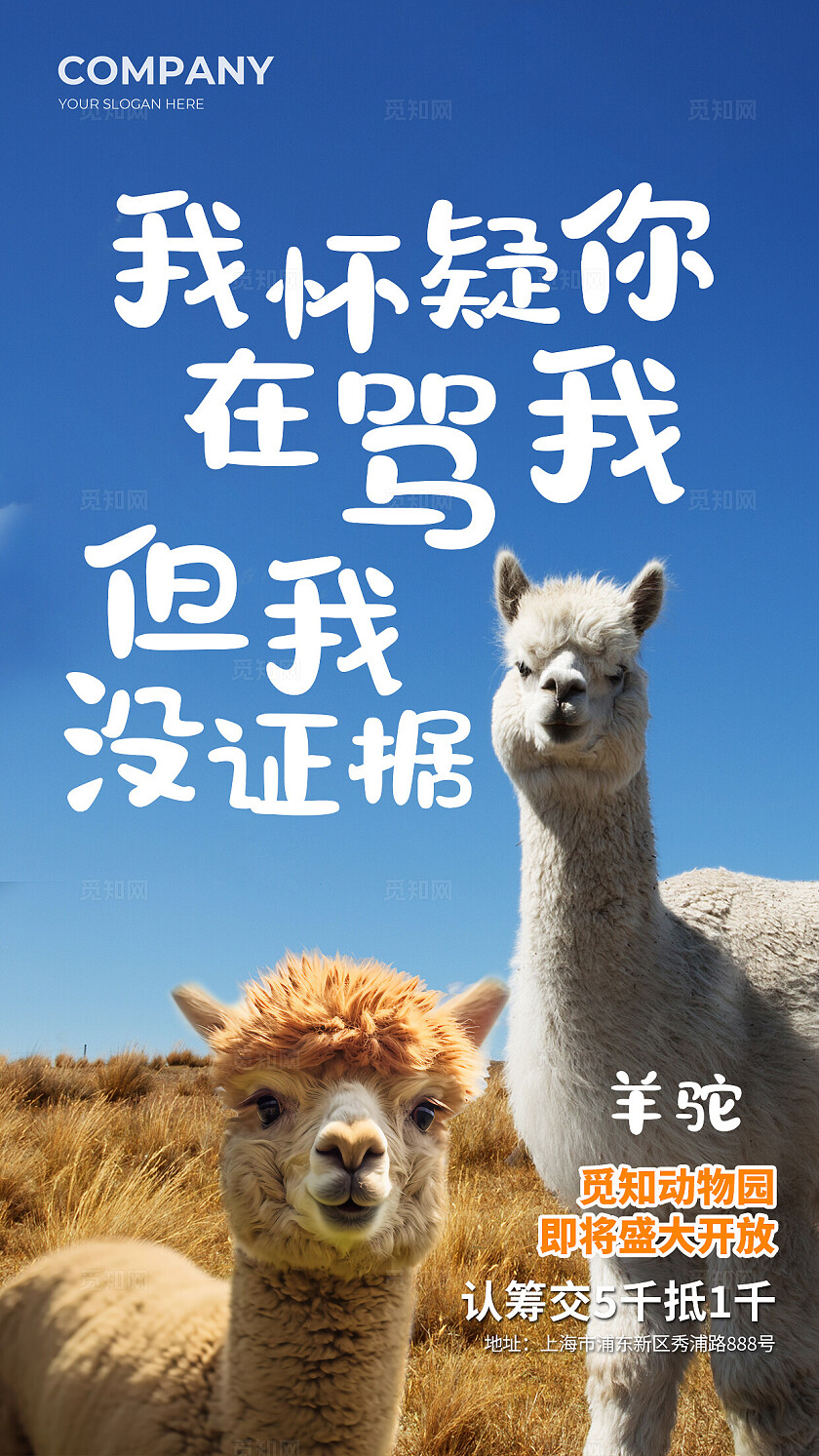 简约实拍风动物园动物开放创意海报套图背景世界动物日