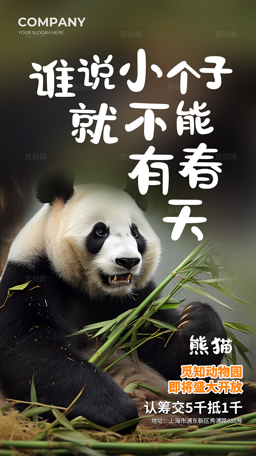 简约实拍风动物园动物开放创意海报套图背景世界动物日