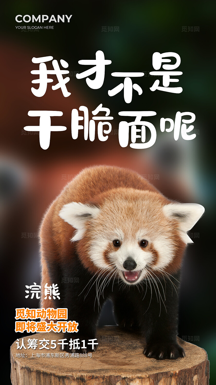 简约实拍风动物园动物开放创意海报套图背景世界动物日