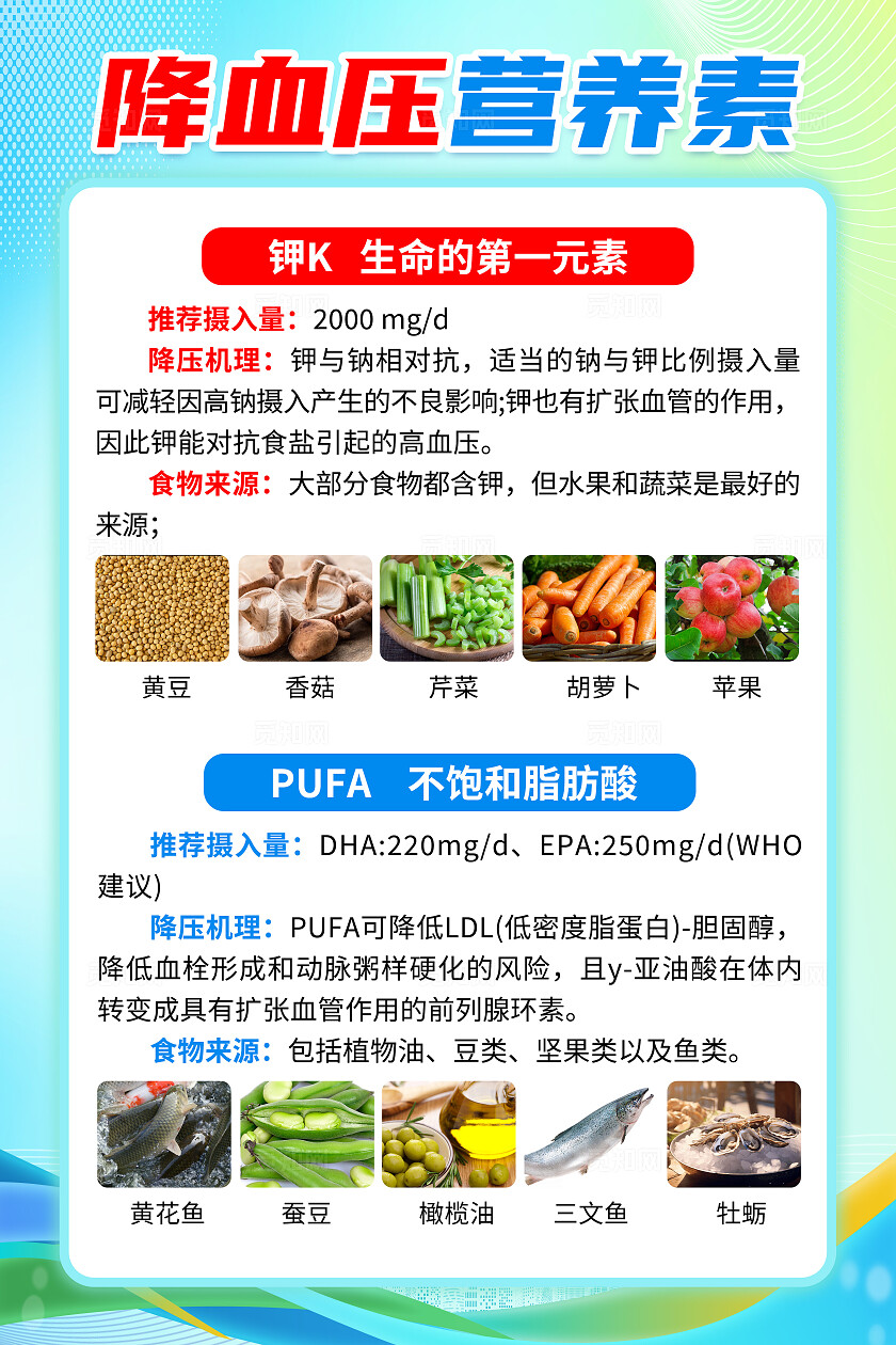 蓝色简约高血压营养食物知识海报背景2025全国高血压日