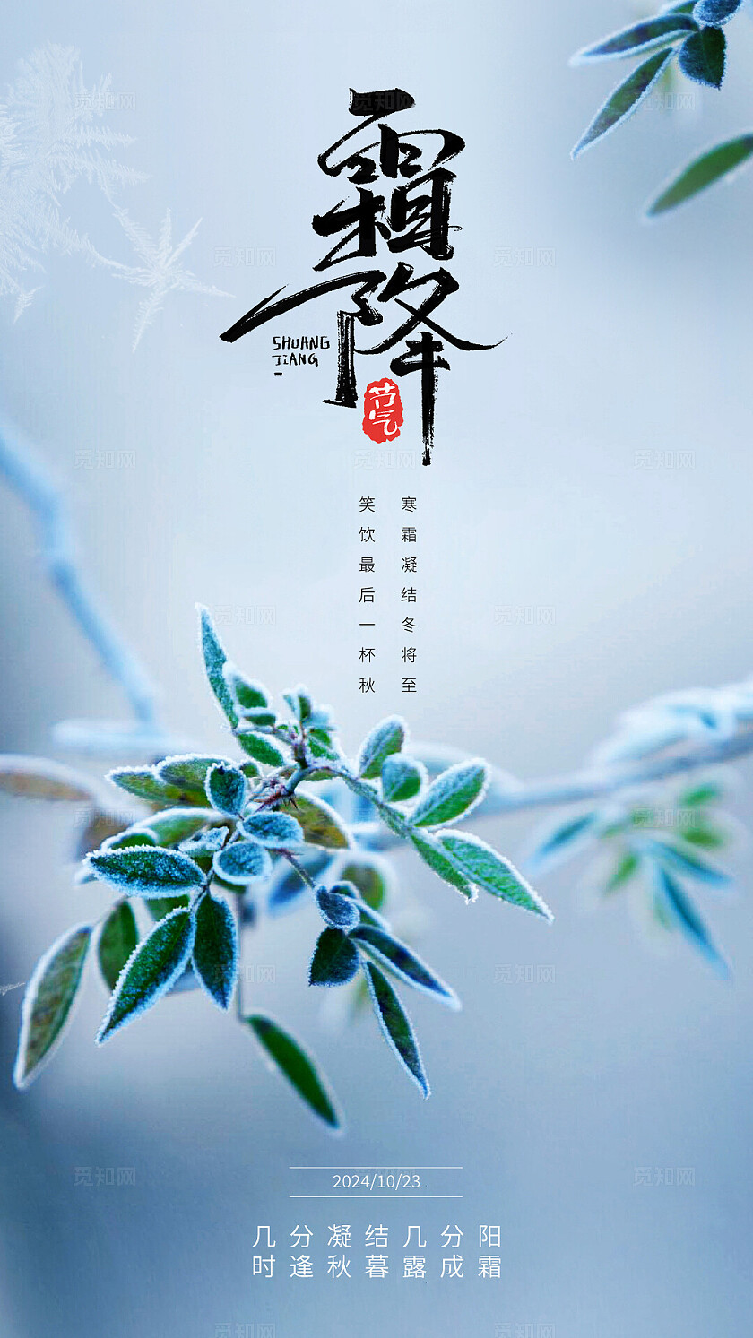 简约小清晰霜降节气海报