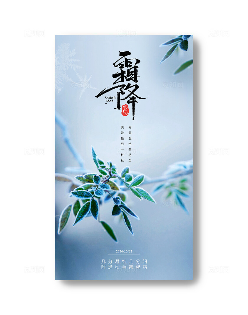 简约小清晰霜降节气海报