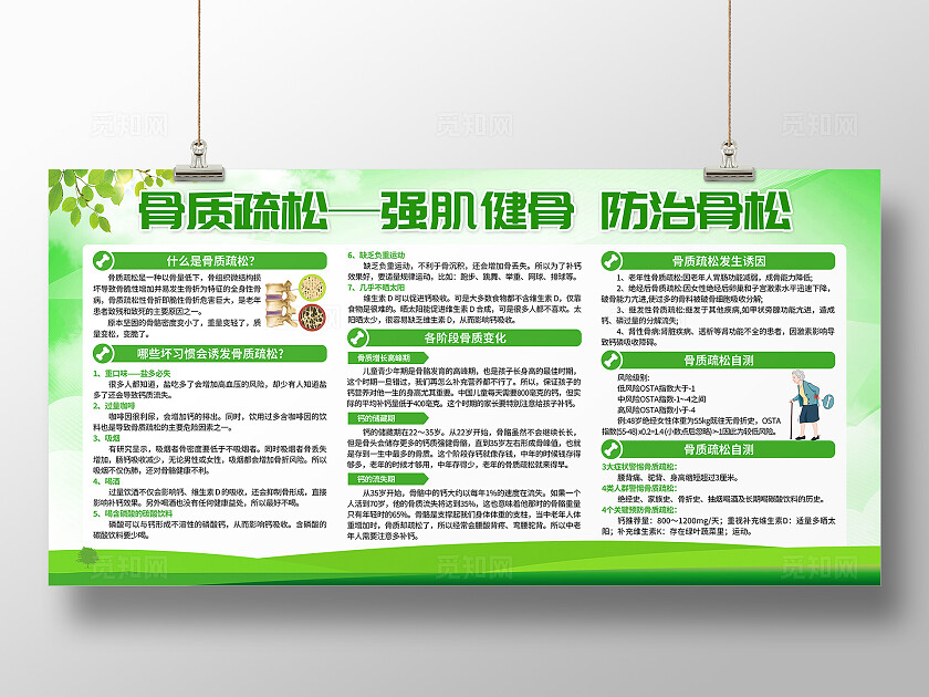 绿色简约骨质疏松强肌健骨知识宣传栏背景老年人骨质疏松