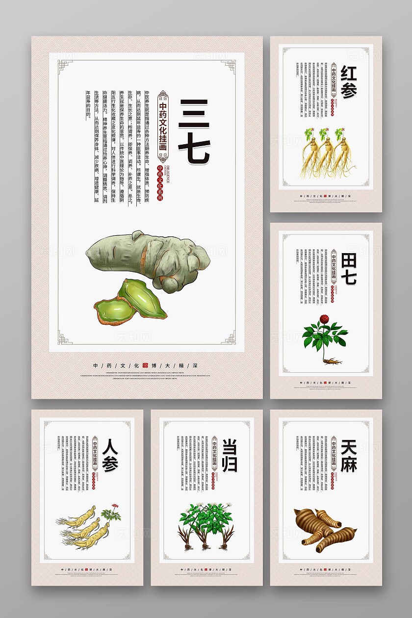中药文化海报