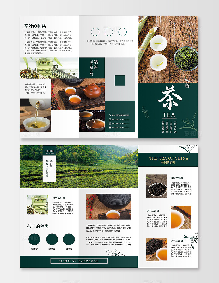 茶文化三折页